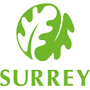SurreyArtsAzure Logo